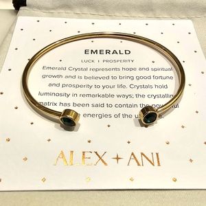Alex and Ani cuff bracelet